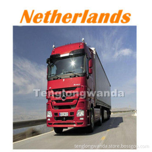 Sea Cargo to Rotterdam in Netherlands from Shenzhen and Shanghai